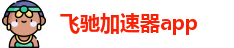 飞驰加速器app